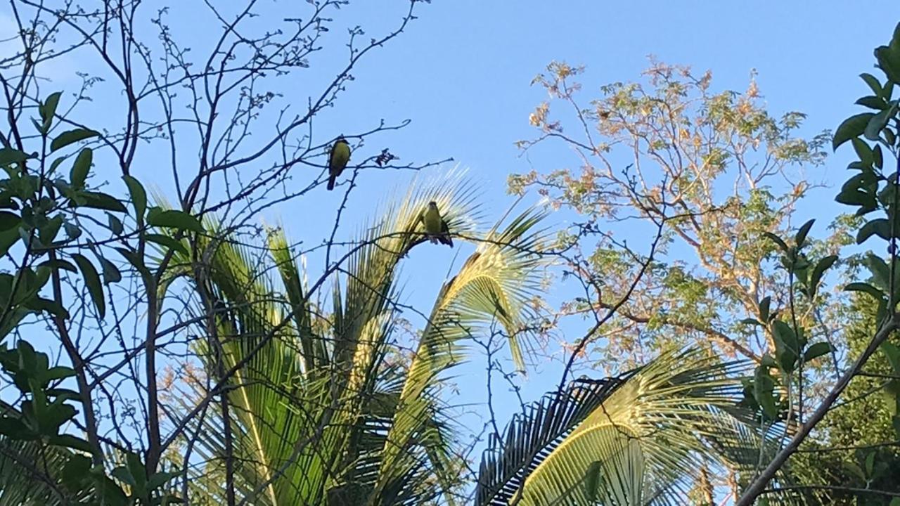 Villa Tortugas Akumal Dış mekan fotoğraf