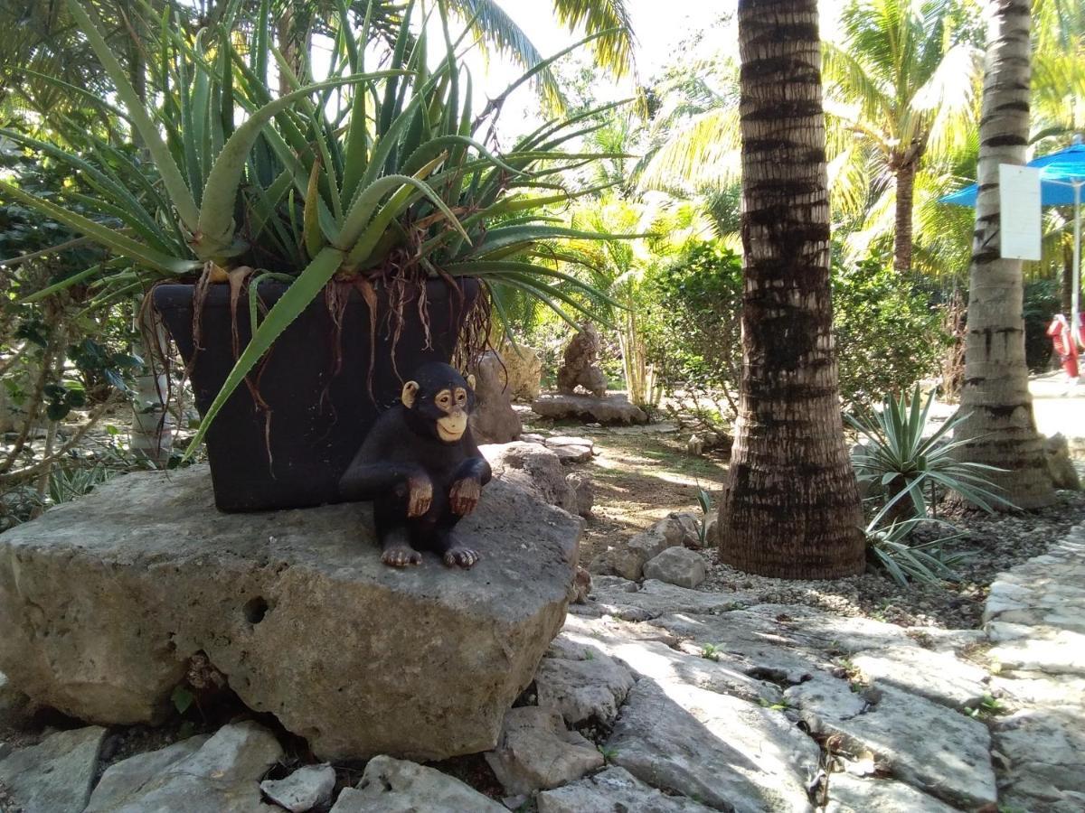Villa Tortugas Akumal Dış mekan fotoğraf