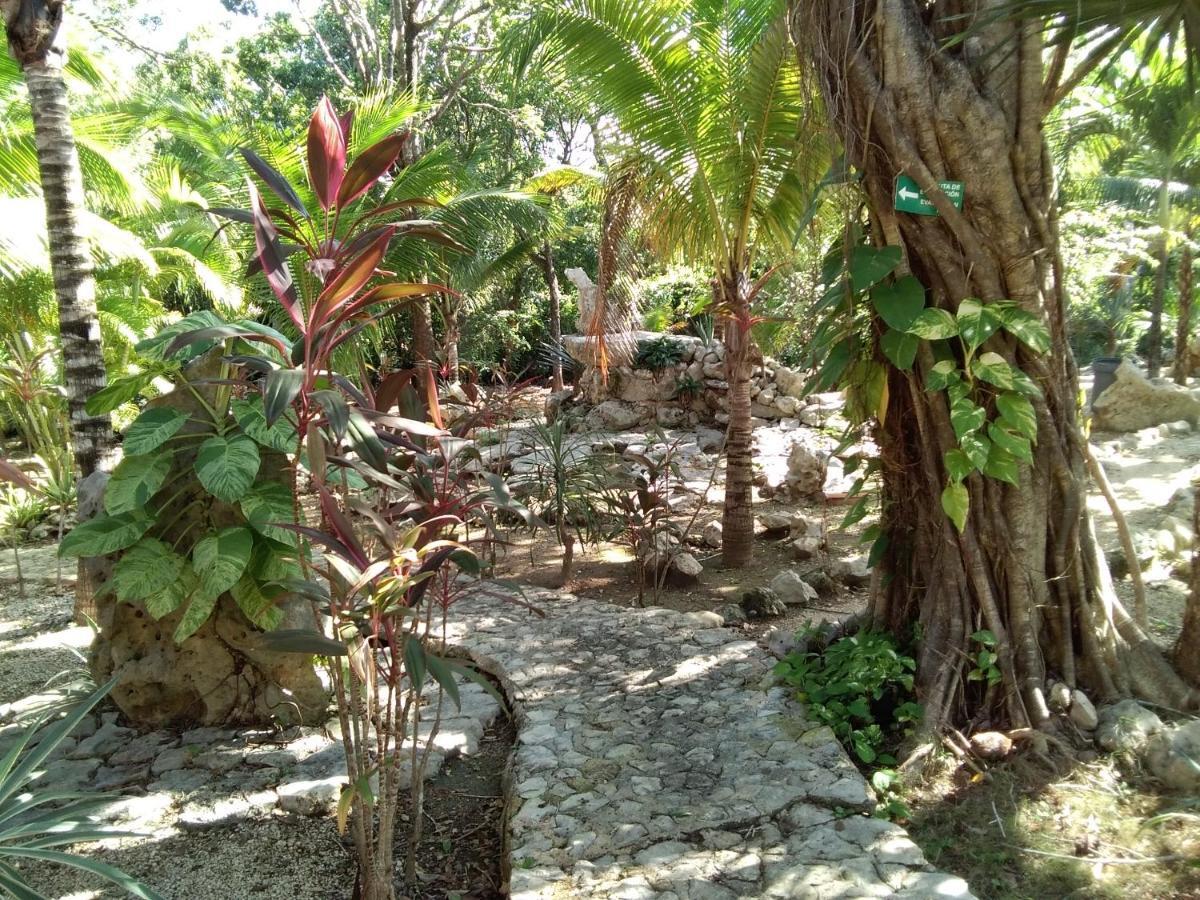 Villa Tortugas Akumal Dış mekan fotoğraf