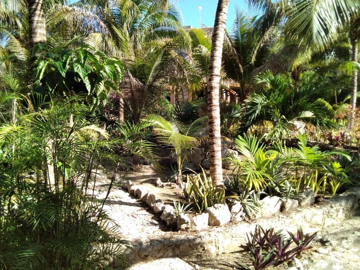 Villa Tortugas Akumal Dış mekan fotoğraf